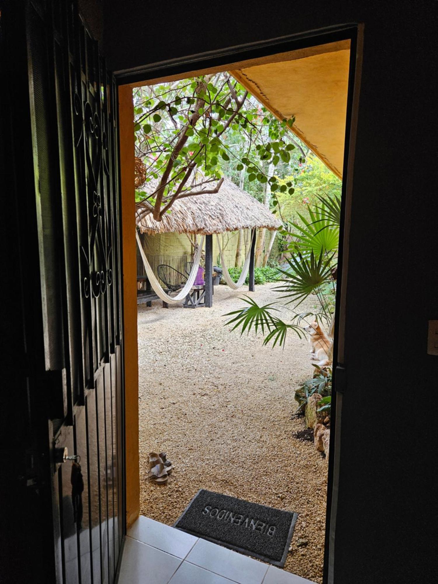 Jungla Bacalar Appartement Buitenkant foto