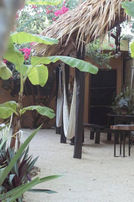 Jungla Bacalar Appartement Buitenkant foto