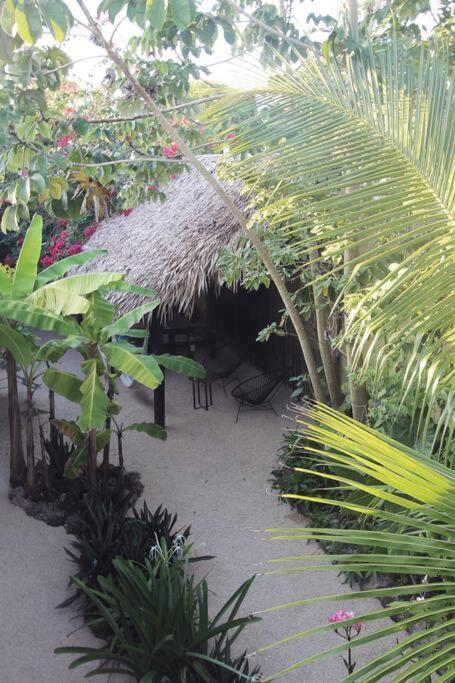 Jungla Bacalar Appartement Buitenkant foto