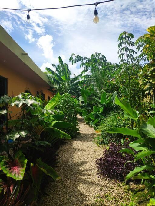 Jungla Bacalar Appartement Buitenkant foto
