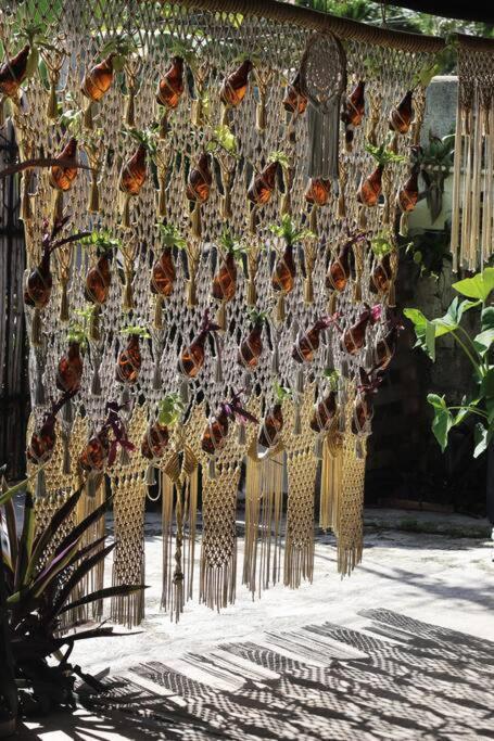 Jungla Bacalar Appartement Buitenkant foto