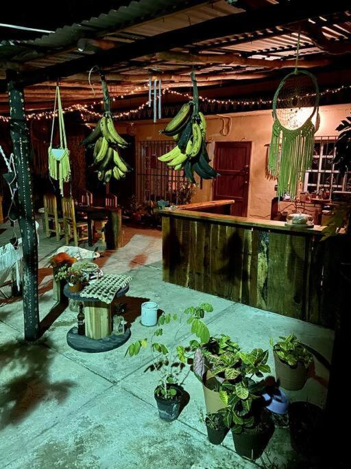 Jungla Bacalar Appartement Buitenkant foto