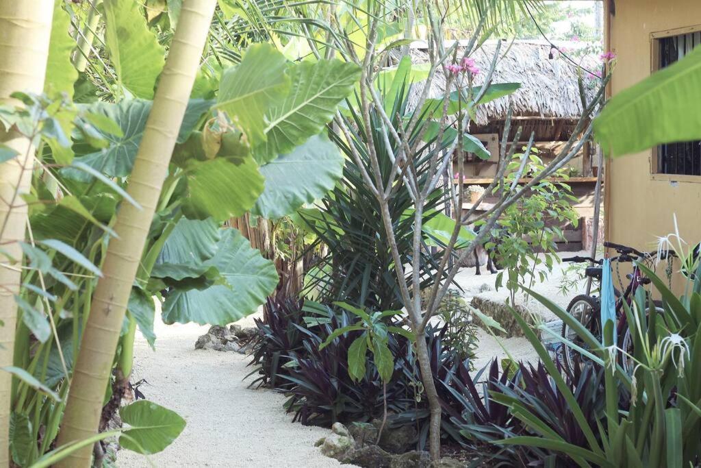 Jungla Bacalar Appartement Buitenkant foto