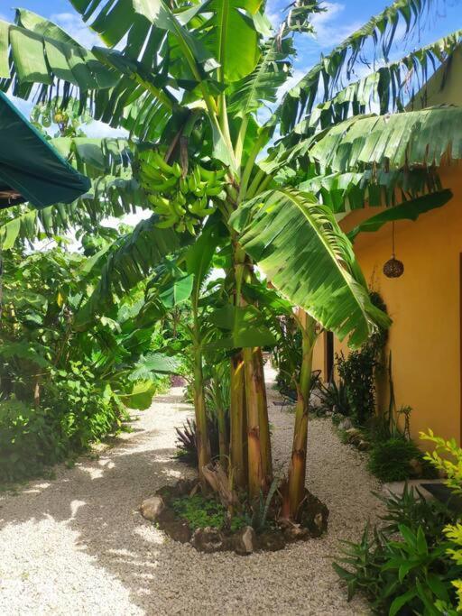 Jungla Bacalar Appartement Buitenkant foto
